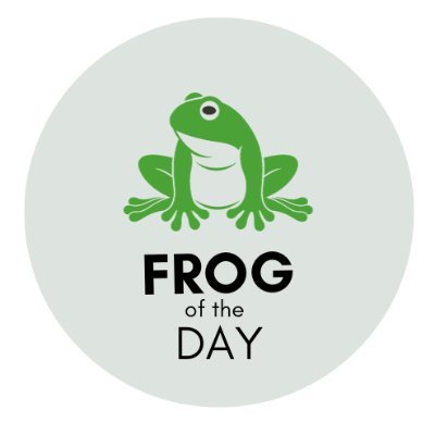 Frog of the Day πΈ Profile