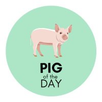 Pig of the Day 🐷 (@pigofthe) 's Twitter Profile Photo Pig of the Day 🐷 (@pigofthe) 's Twitter Profile Photo