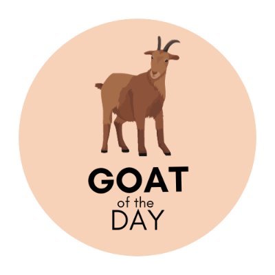 Goat of the Day π Profile