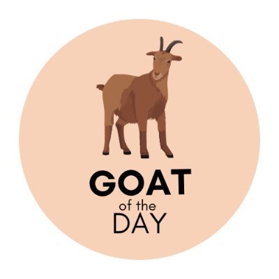 goatofthe Profile Picture