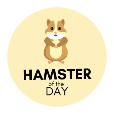 Hamster of the Day 🐹