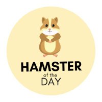 Hamster of the Day 🐹 (@hamsterofthe) 's Twitter Profile Photo Hamster of the Day 🐹 (@hamsterofthe) 's Twitter Profile Photo