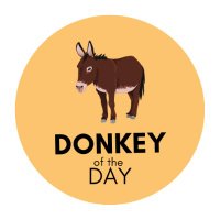 Donkey of the Day🐴(@DonkeyoftheDay1) 's Twitter Profile Photo