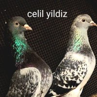 Celil Yıldız (@celilyldz51) 's Twitter Profile Photo