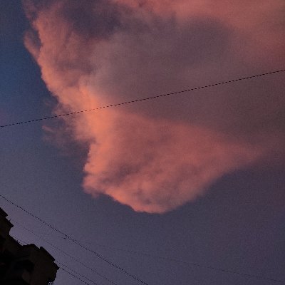 DharaMajithiya's profile picture. 