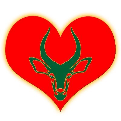 Bring out the Springbok in you, show the entire world that your blood is green&  nobody supports like us Saffas do