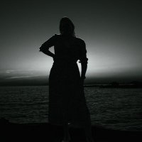 R. Schip (@rschipx) 's Twitter Profile