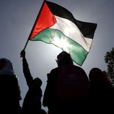 mustafaselima's profile picture. MÜ