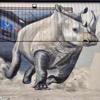 RhinoLiningsBristol(@RhinoBristolVa) 's Twitter Profile Photo
