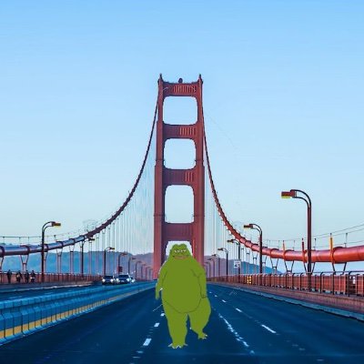 Golden Gate Groyper