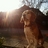 7ANB2142's profile image