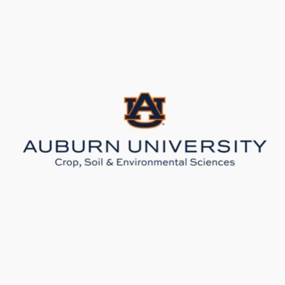 CSES Auburn University Profile