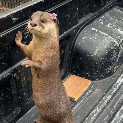 R_o_x_a14's profile picture. “la musica ci insegna la cosa migliore che esista: ascoltare” 🎵🎹