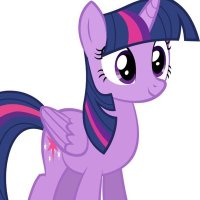Twilight Sparkle (@princesstws) 's Twitter Profile