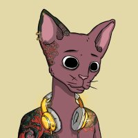 jpeg (@whatupbucko) 's Twitter Profile