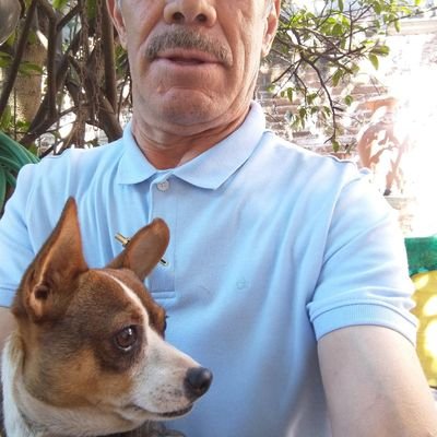 Alcala55088115's profile picture. Mean with stupid people who believe are intelligent or high mental capacity. President Trump Supporter. I admire smart, creative and business people.