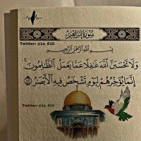 🇸🇦❤🇪🇬 حب الوطن (@mahmoud___95) Twitter profile photo