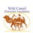 WildCamels's profile image
