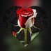 Seher vakti (@erdaluy95076708) Twitter profile photo Seher vakti (@erdaluy95076708) Twitter profile photo