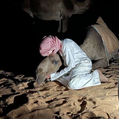 محامي ( متدرب ) ⚖️