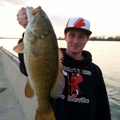 fieldsofgold999's profile picture. 