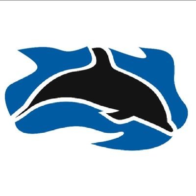 Campeonato de Nr2003 // segunda e sexta às 21h30 // link do Discord👉 https://t.co/dsiuU3LOJy