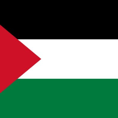 PalestineSzxuil's profile picture. 