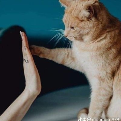 nuha516898's profile picture. 