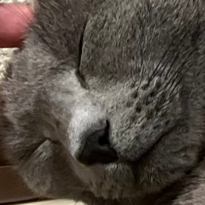 ピスさんのプロフィール画像