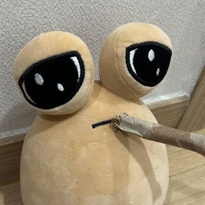 pan con quesoさんのプロフィール画像
