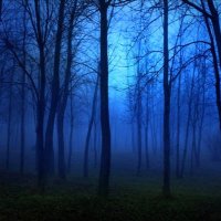 Sapphire Twilight (@saptwilight) 's Twitter Profile