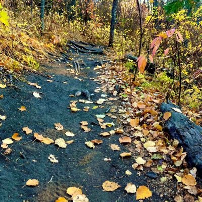 living my life my way - one day, one hike, one walk, one bike ride, one goal, one adventure at a time. Nature lover. Volunteer. Adventure Traveller. Healing.