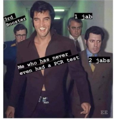 SteaksnotBugs's profile picture. Shitposter.