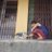 mator28