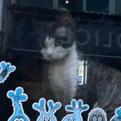 flantz686814's profile picture. 