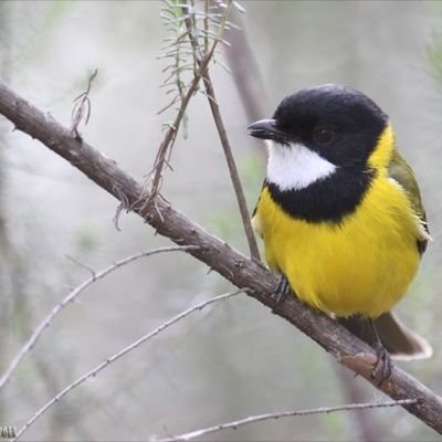 timetorelax97's profile picture. 