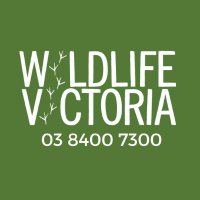 Wildlife Victoria(@wildlife_vic) 's Twitter Profile Photo