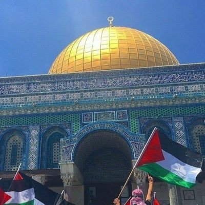 🇵🇸🇵🇸🇵🇸🇵🇸🇵🇸🇵🇸🇵🇸🇵🇸🇵🇸🇵🇸🇵🇸🇵🇸🇵🇸