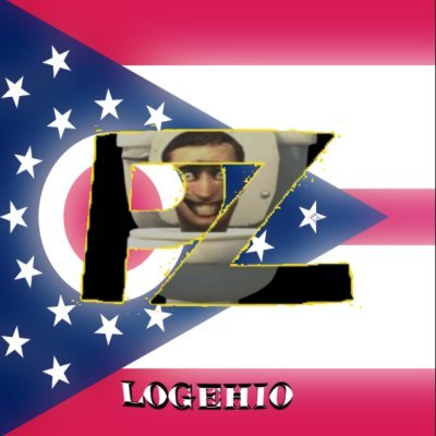 SkibidiOhioJit Profile Picture