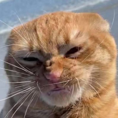 divadevi's profile picture. 