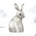 ColoradoRabbit (@coloradorabbit) Twitter profile photo ColoradoRabbit (@coloradorabbit) Twitter profile photo
