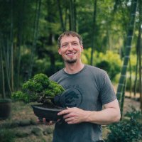 アダム ジョーンズ❖盆栽 (@adam_bonsai) 's Twitter Profile