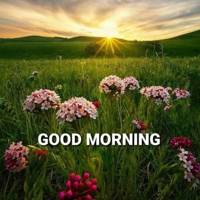 gauravsshh's profile picture. C Gheewala & Co
manufacturing spares and accessories for textile spinning mills, timing belts, flat belts, cots and aprons, motors, conversions, overhauling.