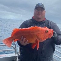 Brian Harper (@razorhog32) 's Twitter Profile