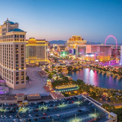 DCampeon1's profile picture. 