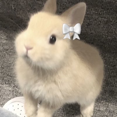 ewelinipopini's profile picture. sh/edtwt dni ౽ trying to get better `✦ ˑ ִֶָ 𓂃⊹ ⚢ ❁ཻུ۪۪♡