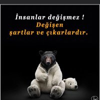 Mehmet Piskin (@mehmetpisk80945) 's Twitter Profile