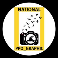 national_ppo_graphic(@nat_ppo_graphic) 's Twitter Profile Photo