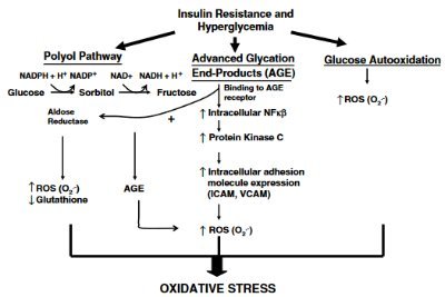 AnnisaChoi82628's profile picture. Joki translate, parafrase review, makalah, esay, tugas, dan menulis jurnal yang berhubungan dengan Kimia, Biokimia, Kedokteran, dan Ilmu Pangan