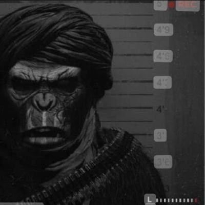 TR4NCH's profile picture. .